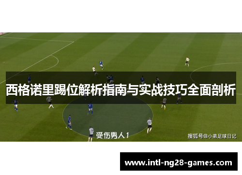 西格诺里踢位解析指南与实战技巧全面剖析